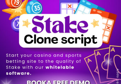 Stake-clone-script-3