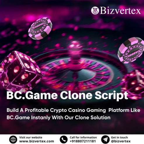 Transform Your Crypto-Gaming Business Idea into Success with Bizvertex